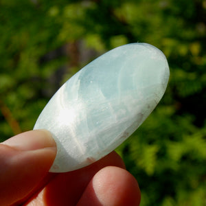 Caribbean Blue Calcite Crystal Palm Stone