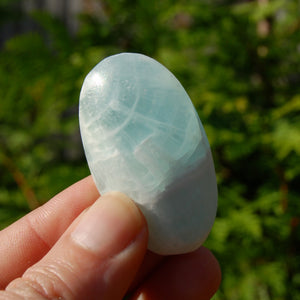 Caribbean Blue Calcite Crystal Palm Stone