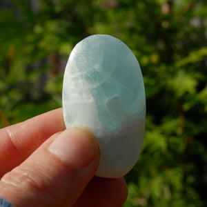 Caribbean Blue Calcite Crystal Palm Stone