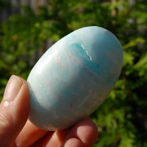 Caribbean Blue Calcite Crystal Palm Stone