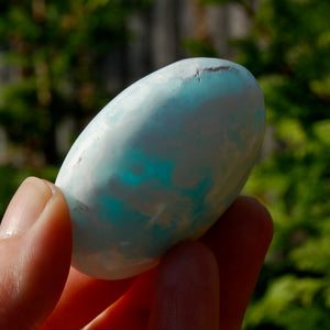 Caribbean Blue Calcite Crystal Palm Stone