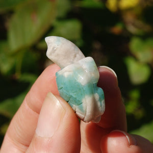 Green Sakura Agate Crystal Turtle Carving