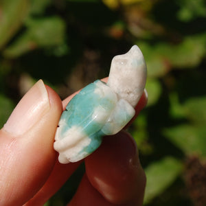 Green Sakura Agate Crystal Turtle Carving