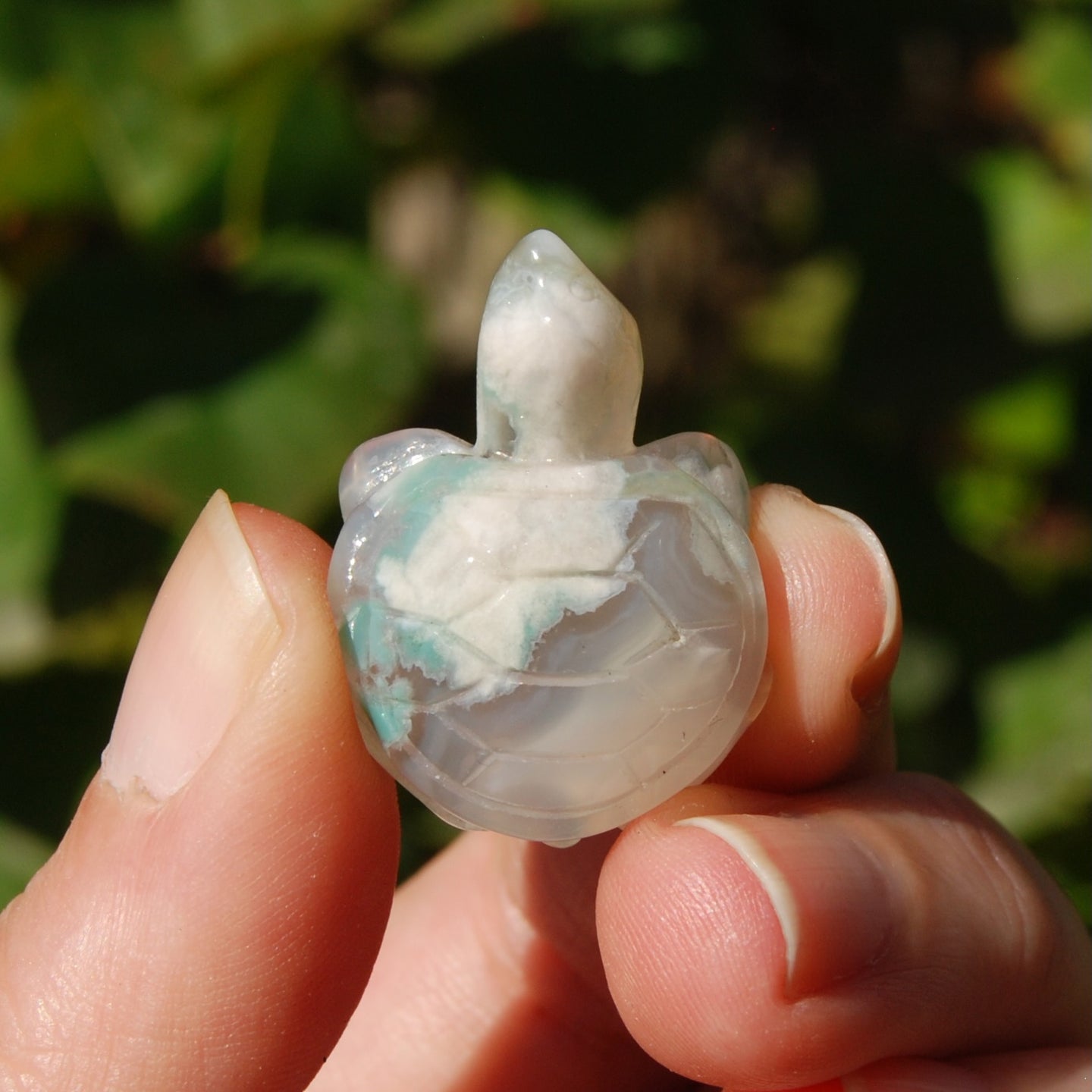 Green Sakura Agate Crystal Turtle Carving