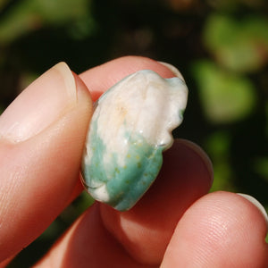 Green Sakura Agate Crystal Turtle Carving