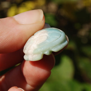 Green Flower Agate Crystal Turtle Carving