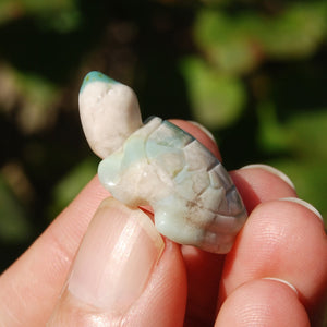 Green Flower Agate Crystal Turtle Carving