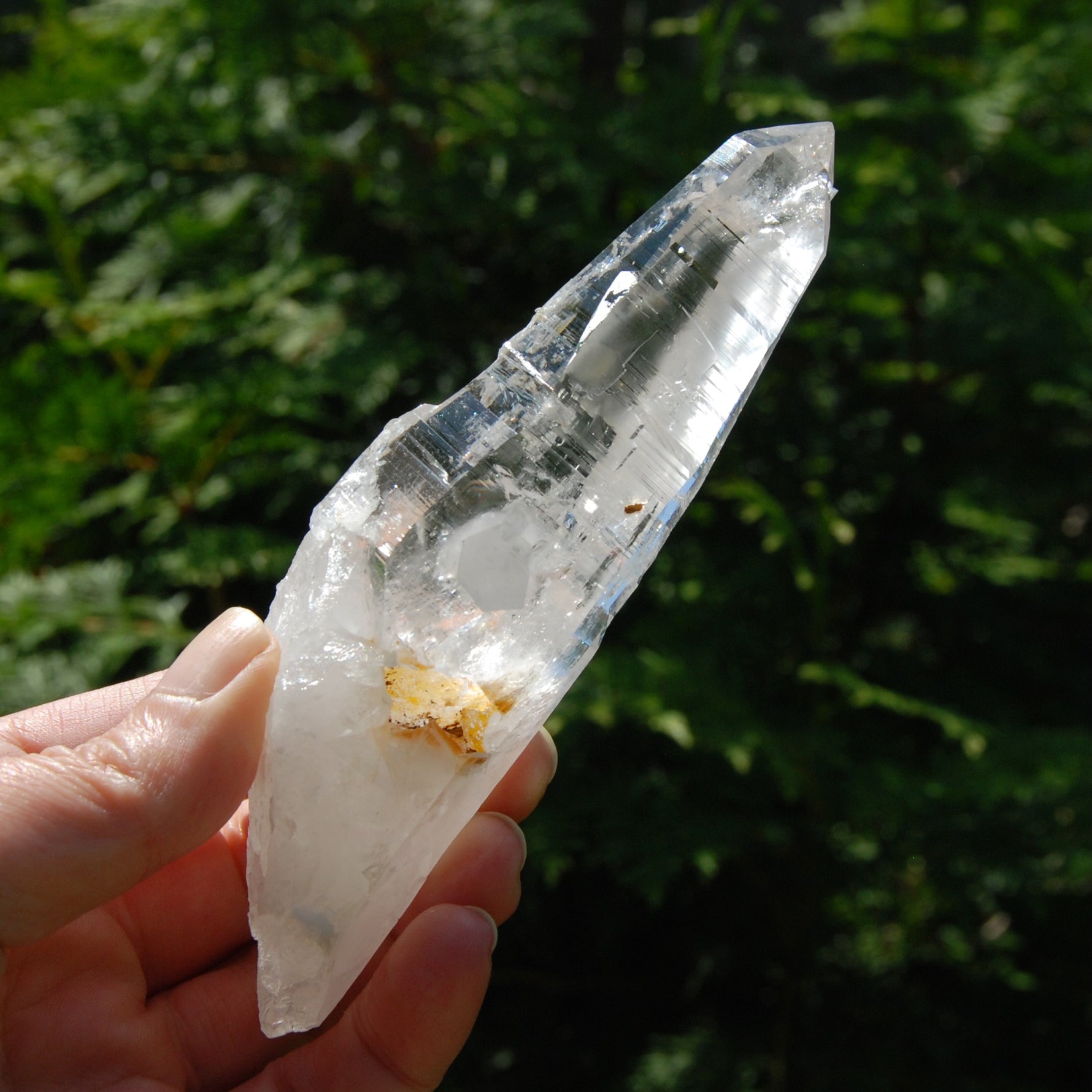 Isis Face Lemurian Seed Quartz Crystal Laser Starbrary, High Vibration Optical Quartz, Peñas Blancas, Colombia