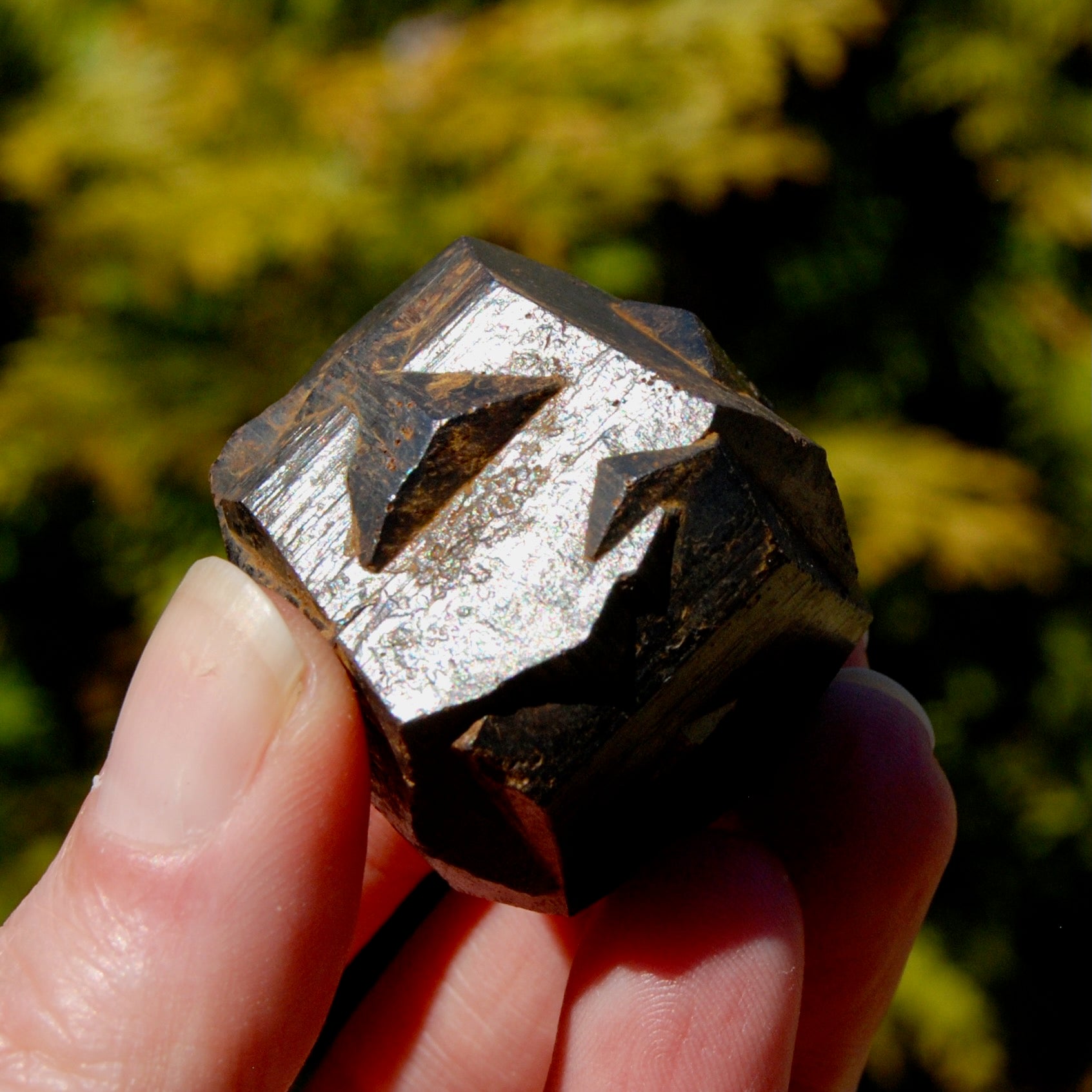 Pyrite Iron Cross Twin Goethite Pseudomorph Crystal