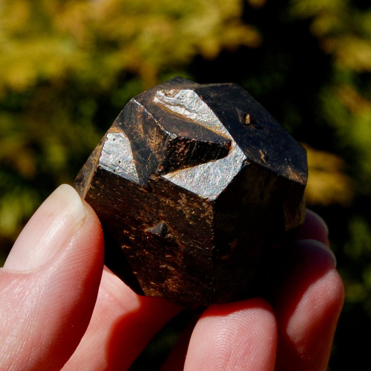 Pyrite Iron Cross Twin Goethite Pseudomorph Crystal