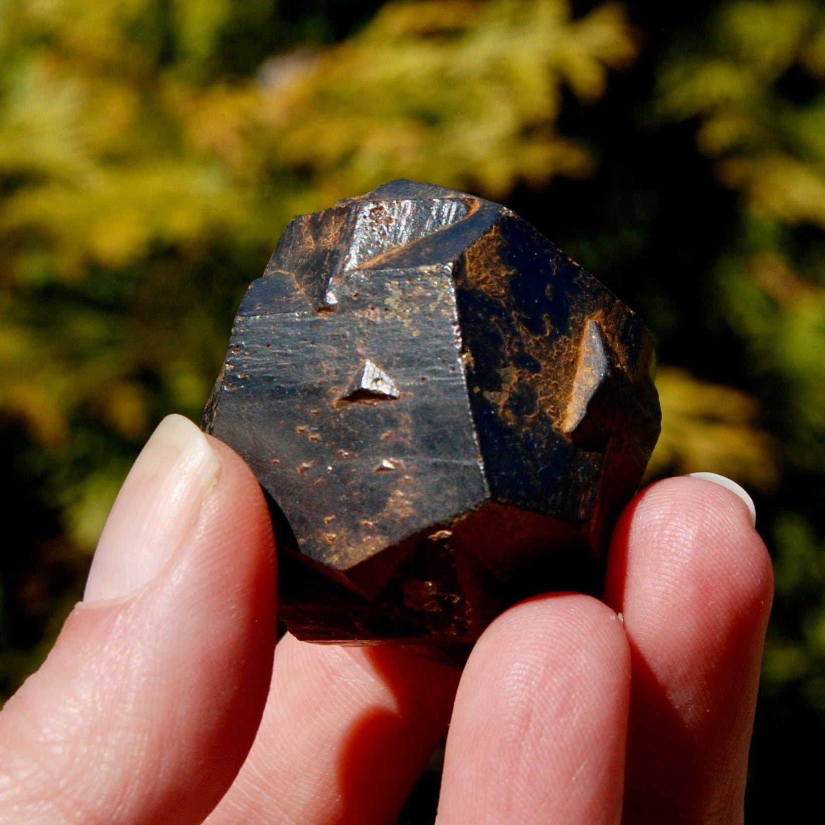 Pyrite Iron Cross Twin Goethite Pseudomorph Crystal