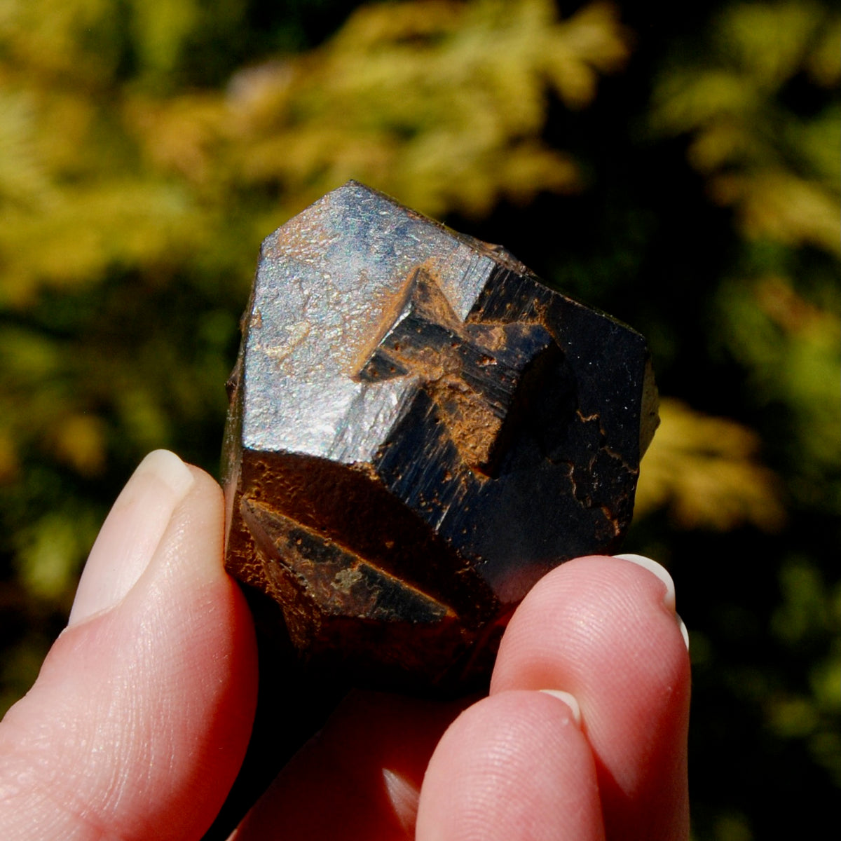 Pyrite Iron Cross Twin Goethite Pseudomorph Crystal