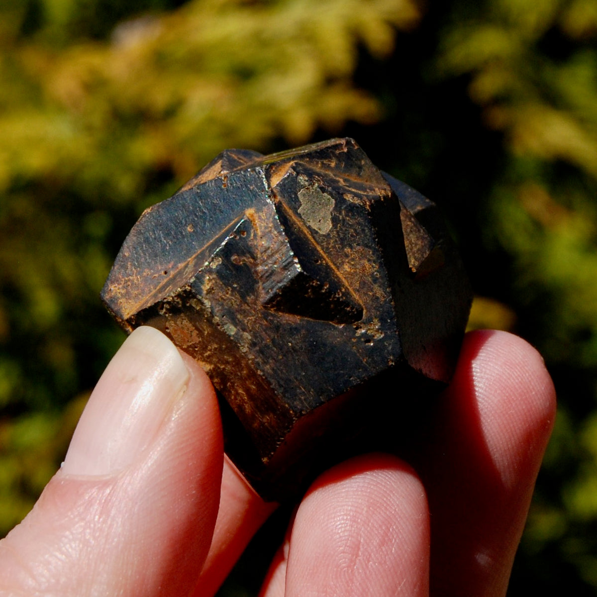 Pyrite Iron Cross Twin Goethite Pseudomorph Crystal