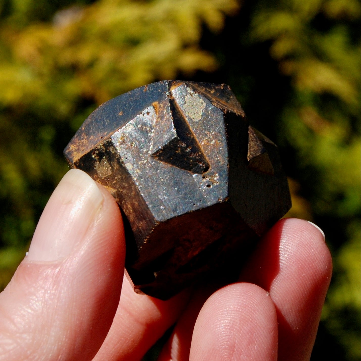 Pyrite Iron Cross Twin Goethite Pseudomorph Crystal