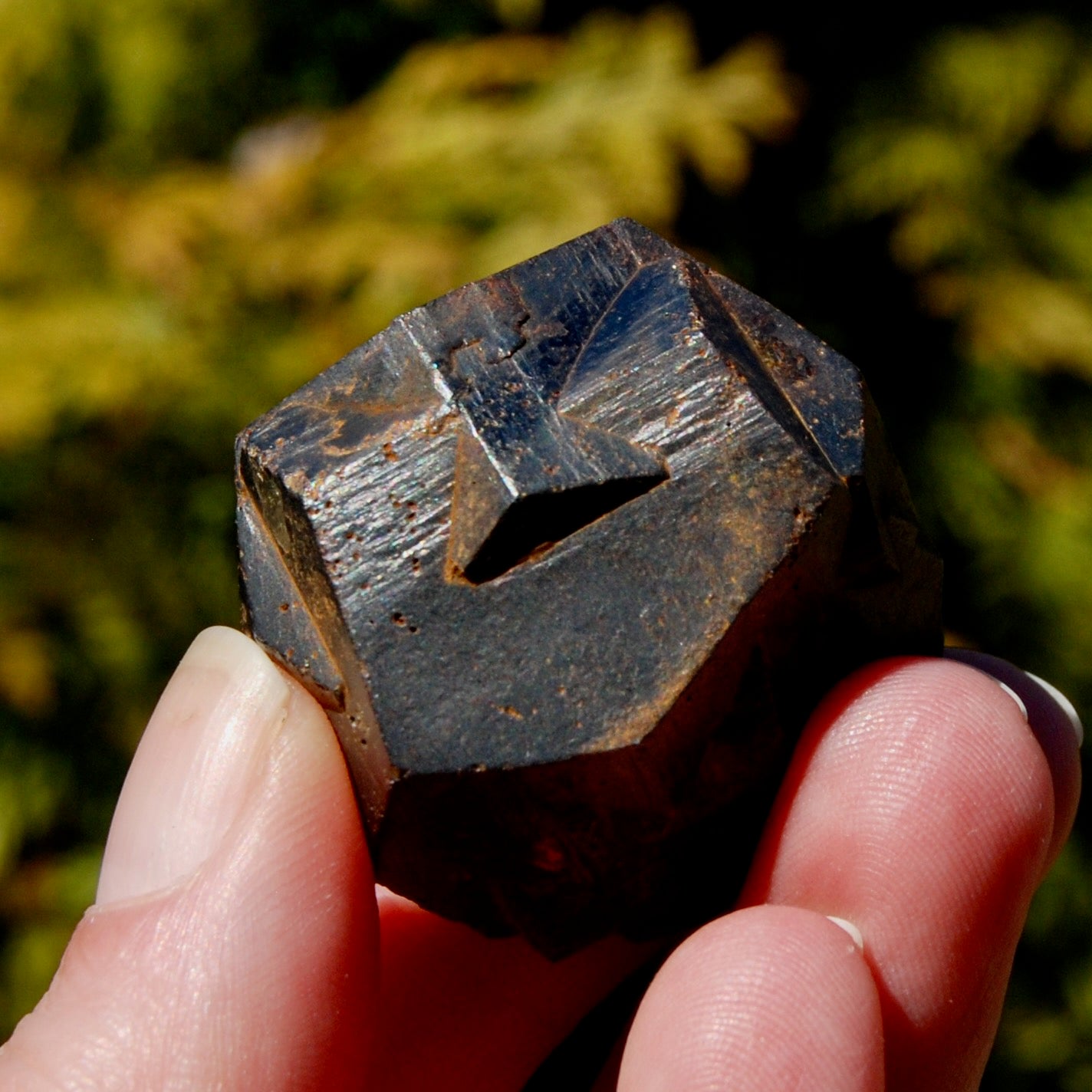 Pyrite Iron Cross Twin Goethite Pseudomorph Crystal