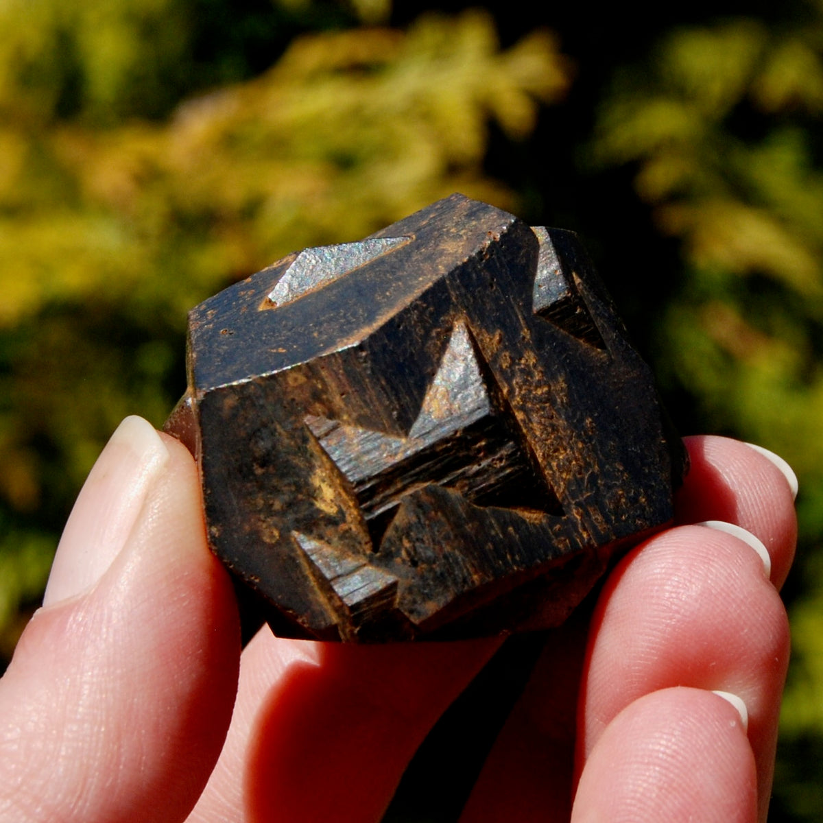Pyrite Iron Cross Twin Goethite Pseudomorph Crystal