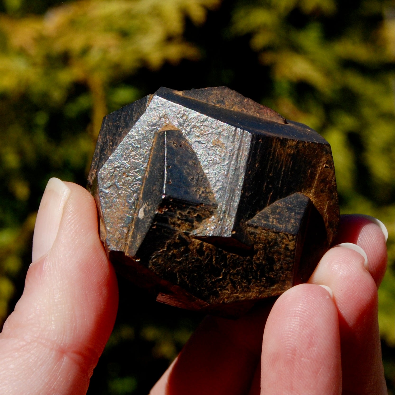 Pyrite Iron Cross Twin Goethite Pseudomorph Crystal