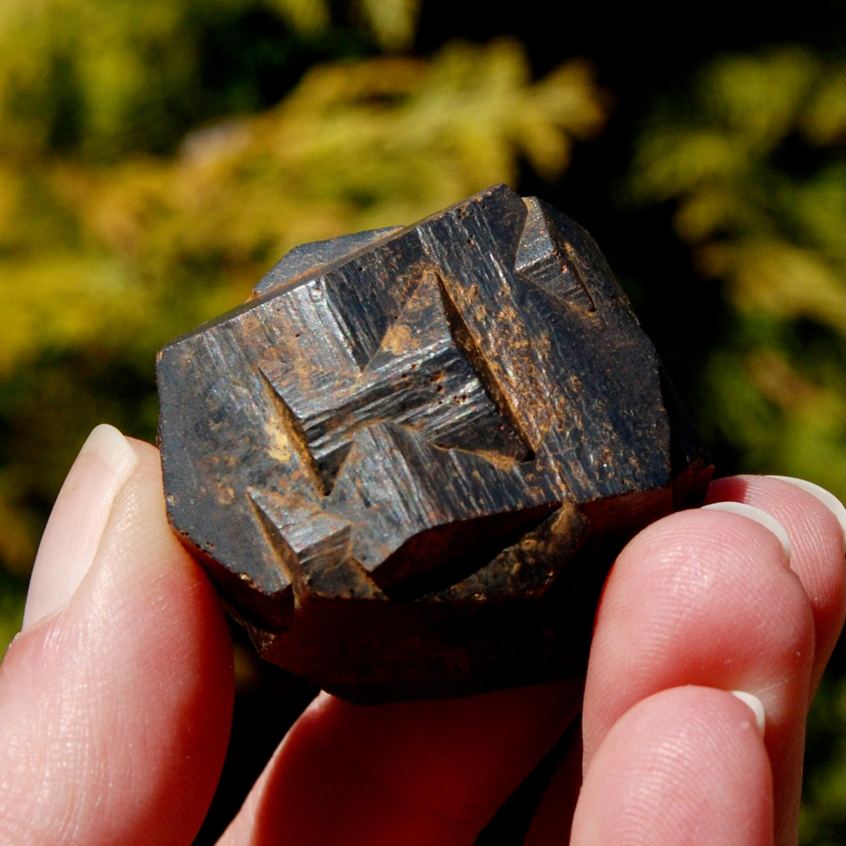 Pyrite Iron Cross Twin Goethite Pseudomorph Crystal