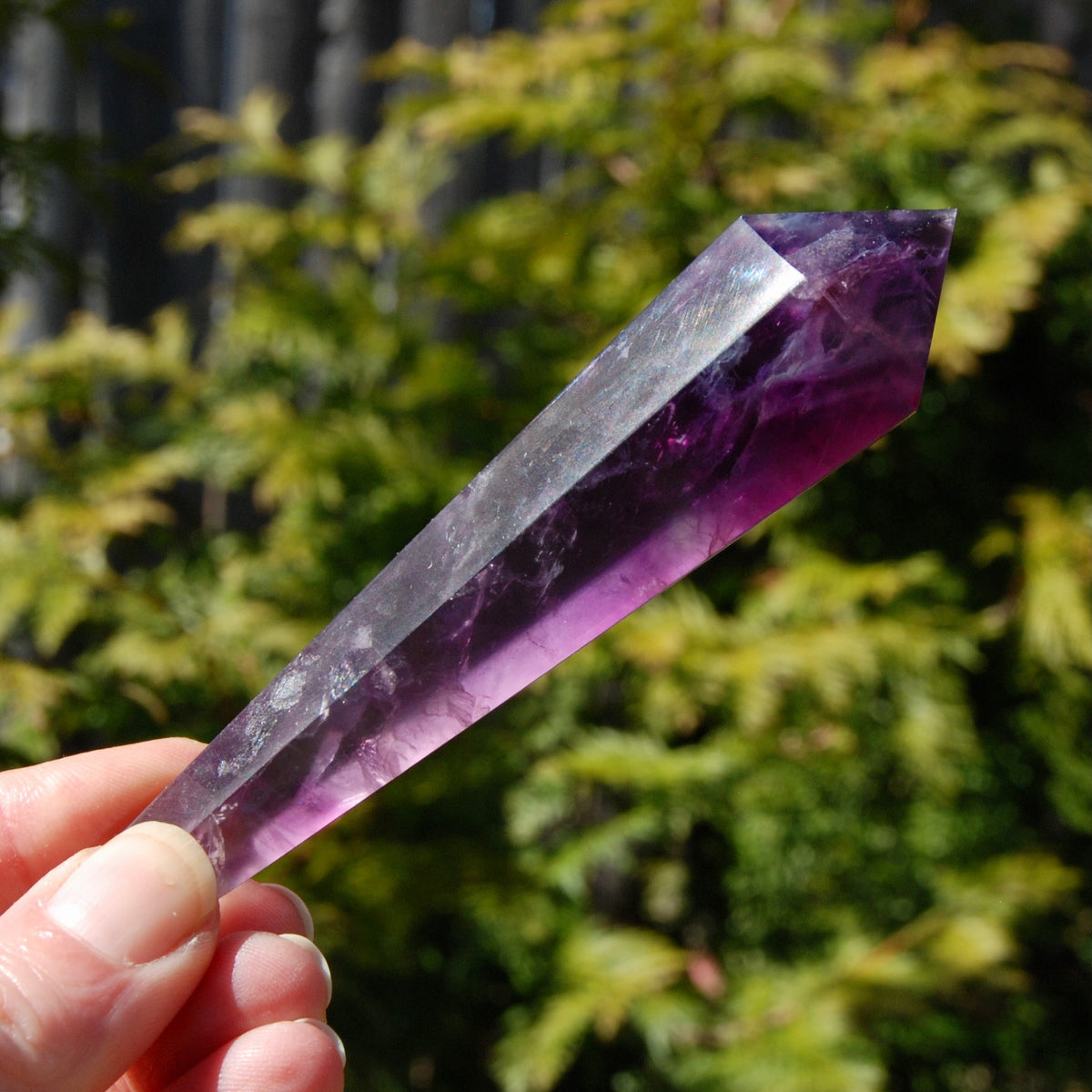 Magenta Watermelon Fluorite Crystal Scepter