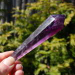 Magenta Watermelon Fluorite Crystal Scepter