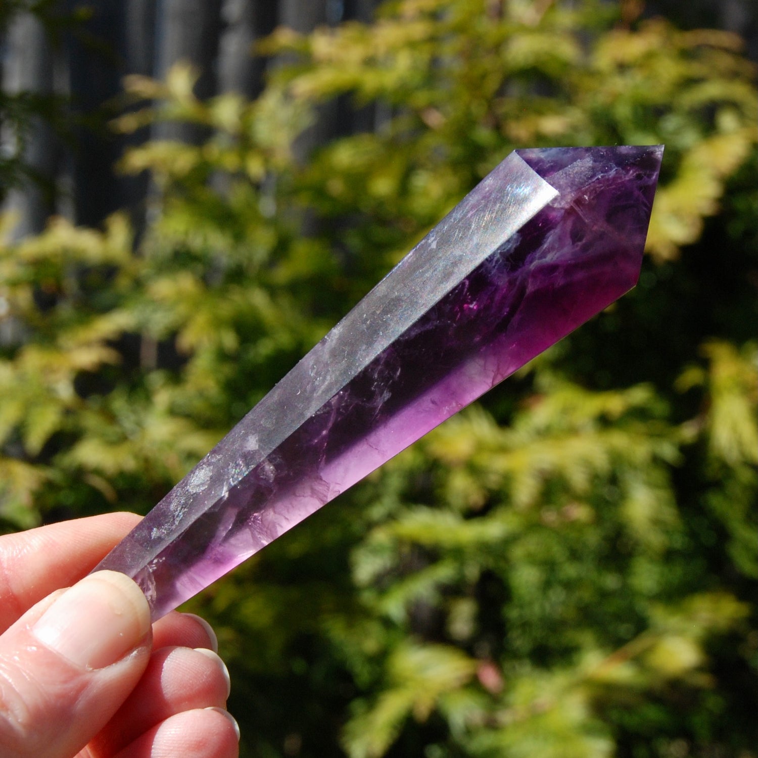 Magenta Watermelon Fluorite Crystal Scepter
