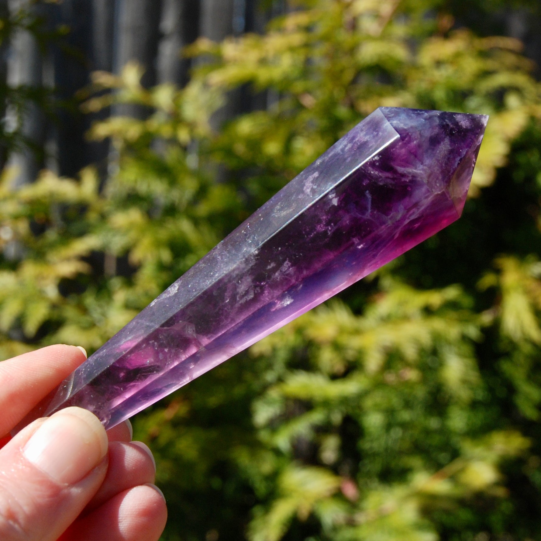 Magenta Watermelon Fluorite Crystal Scepter