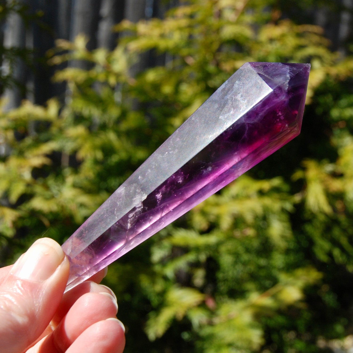 Magenta Watermelon Fluorite Crystal Scepter