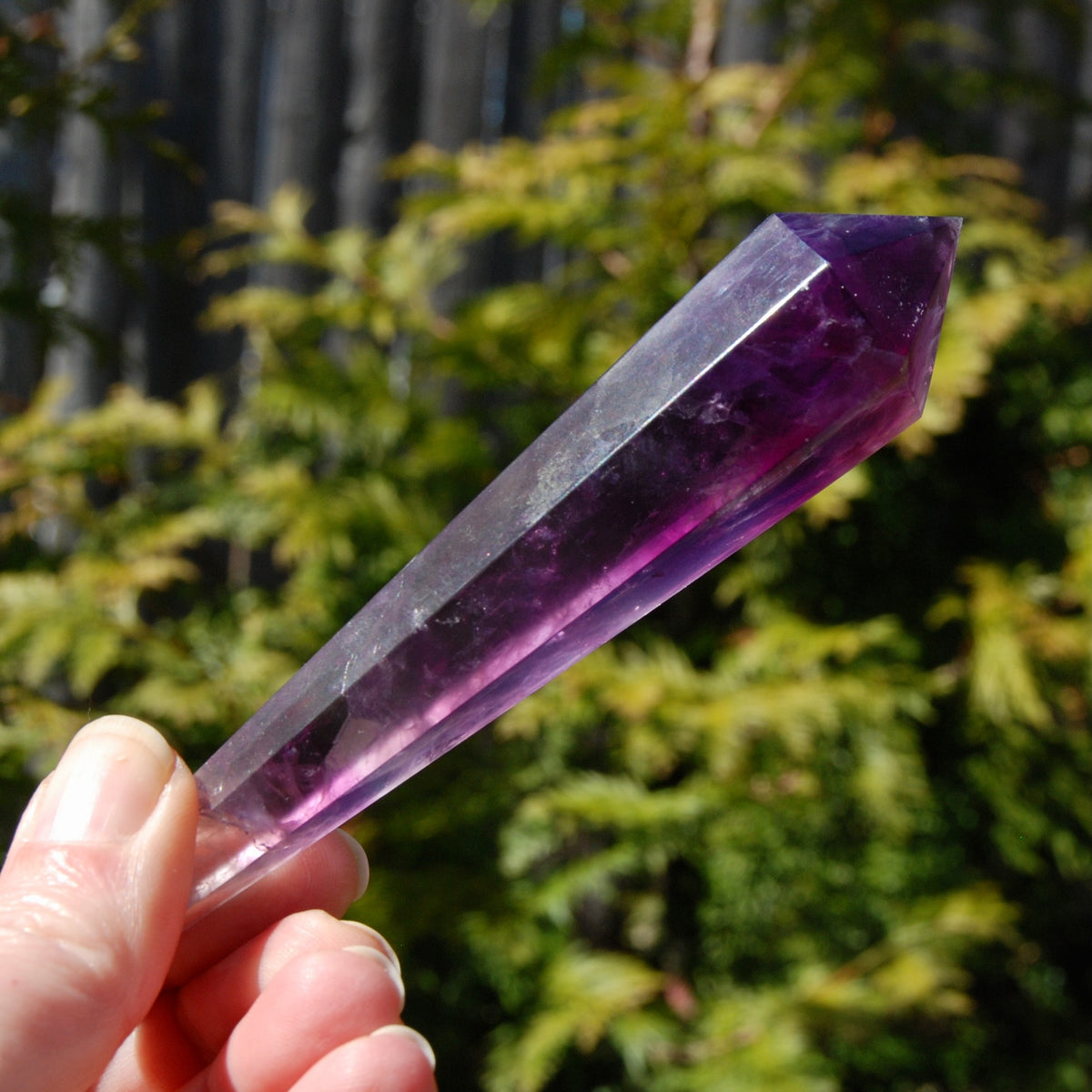 Magenta Watermelon Fluorite Crystal Scepter