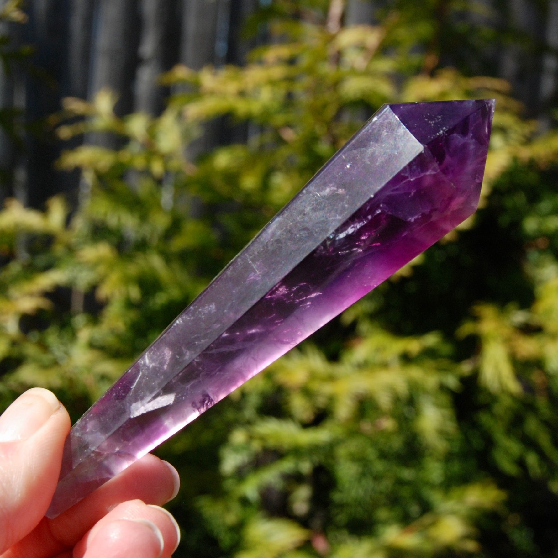 Magenta Watermelon Fluorite Crystal Scepter