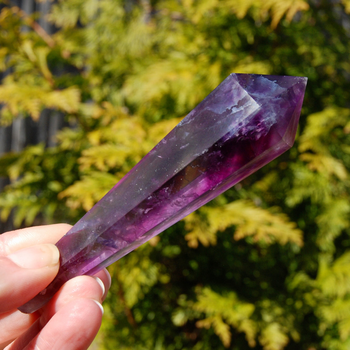 Magenta Watermelon Fluorite Crystal Scepter
