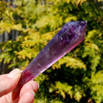Magenta Watermelon Fluorite Crystal Scepter
