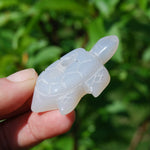 Druzy Agate Geode Crystal Turtle