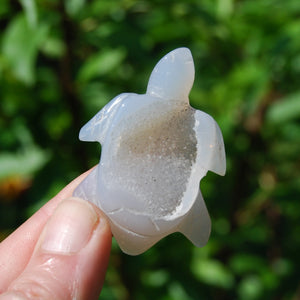 Druzy Agate Geode Crystal Turtle