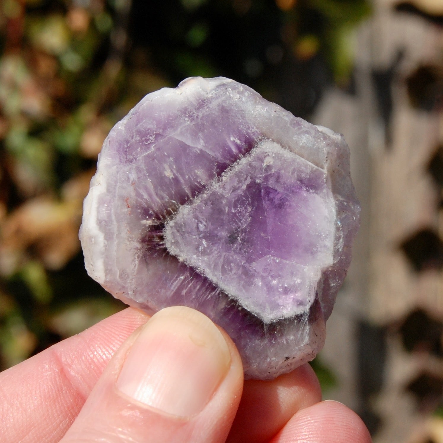 Chevron Amethyst Trapiche Quartz Crystal Slice from Zambia