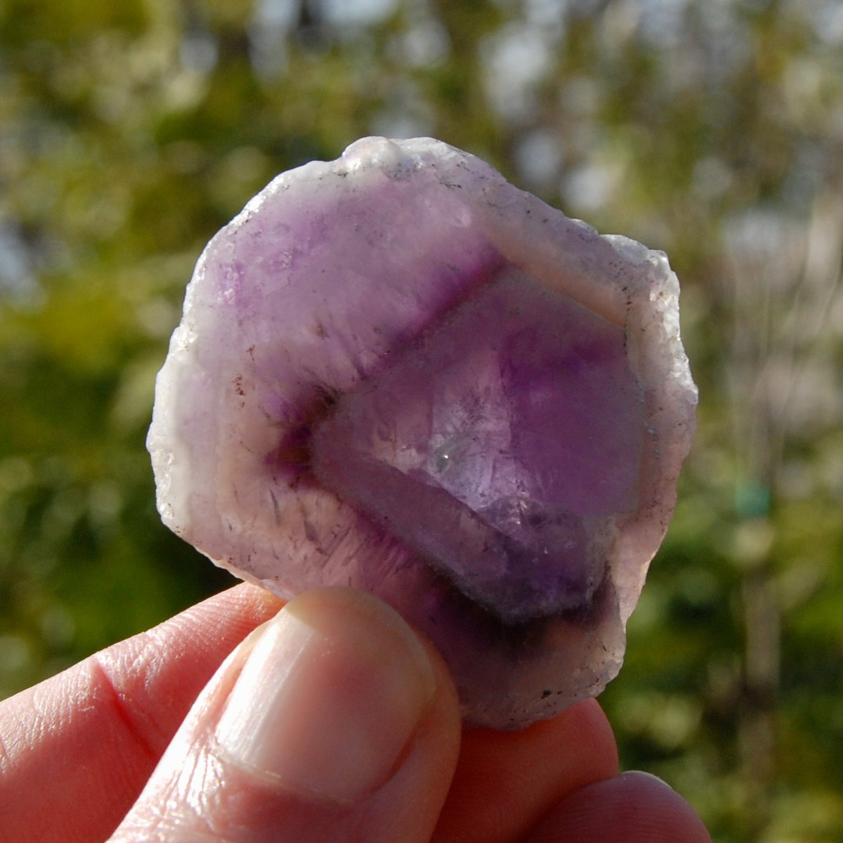 Chevron Amethyst Trapiche Quartz Crystal Slice from Zambia