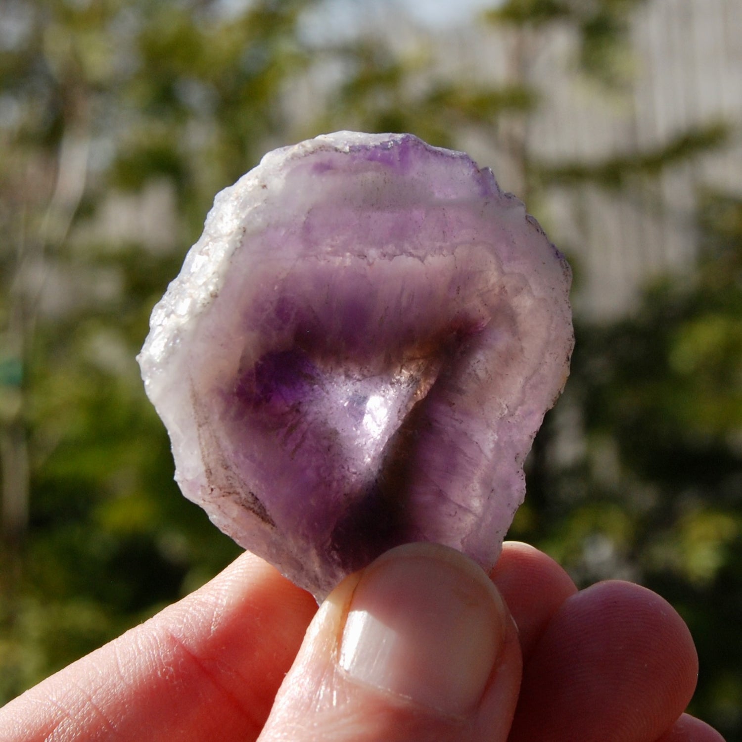 Chevron Amethyst Trapiche Quartz Crystal Slice from Zambia
