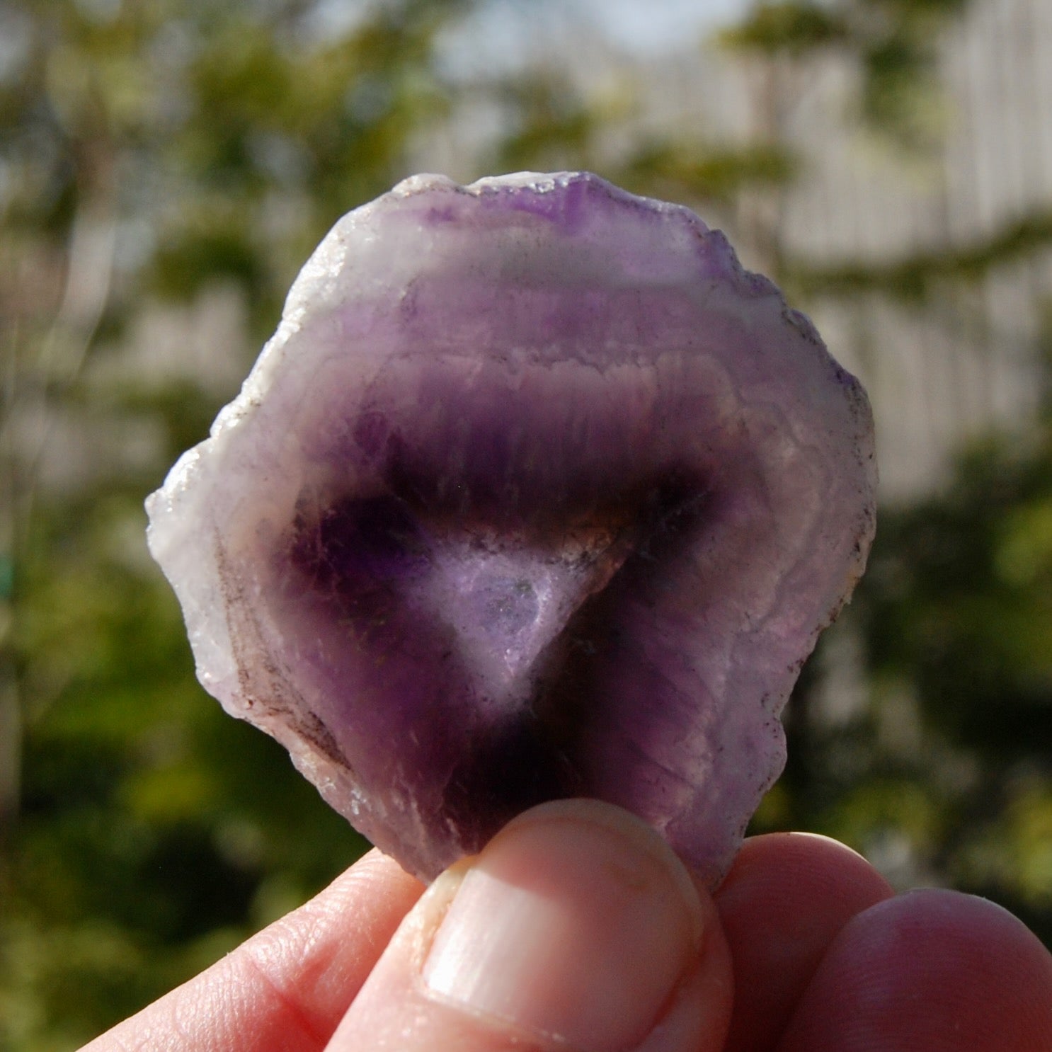 Chevron Amethyst Trapiche Quartz Crystal Slice from Zambia