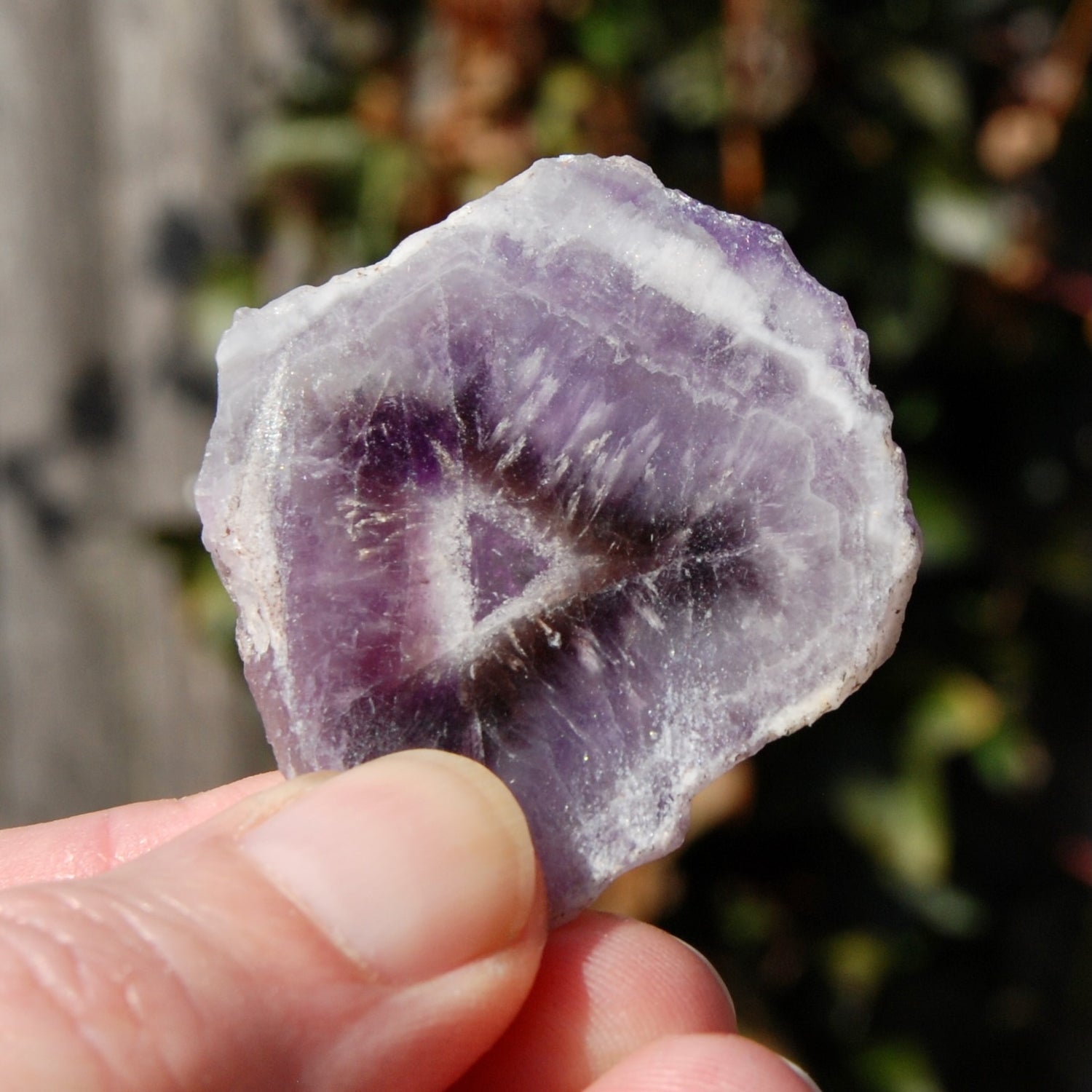 Chevron Amethyst Trapiche Quartz Crystal Slice from Zambia