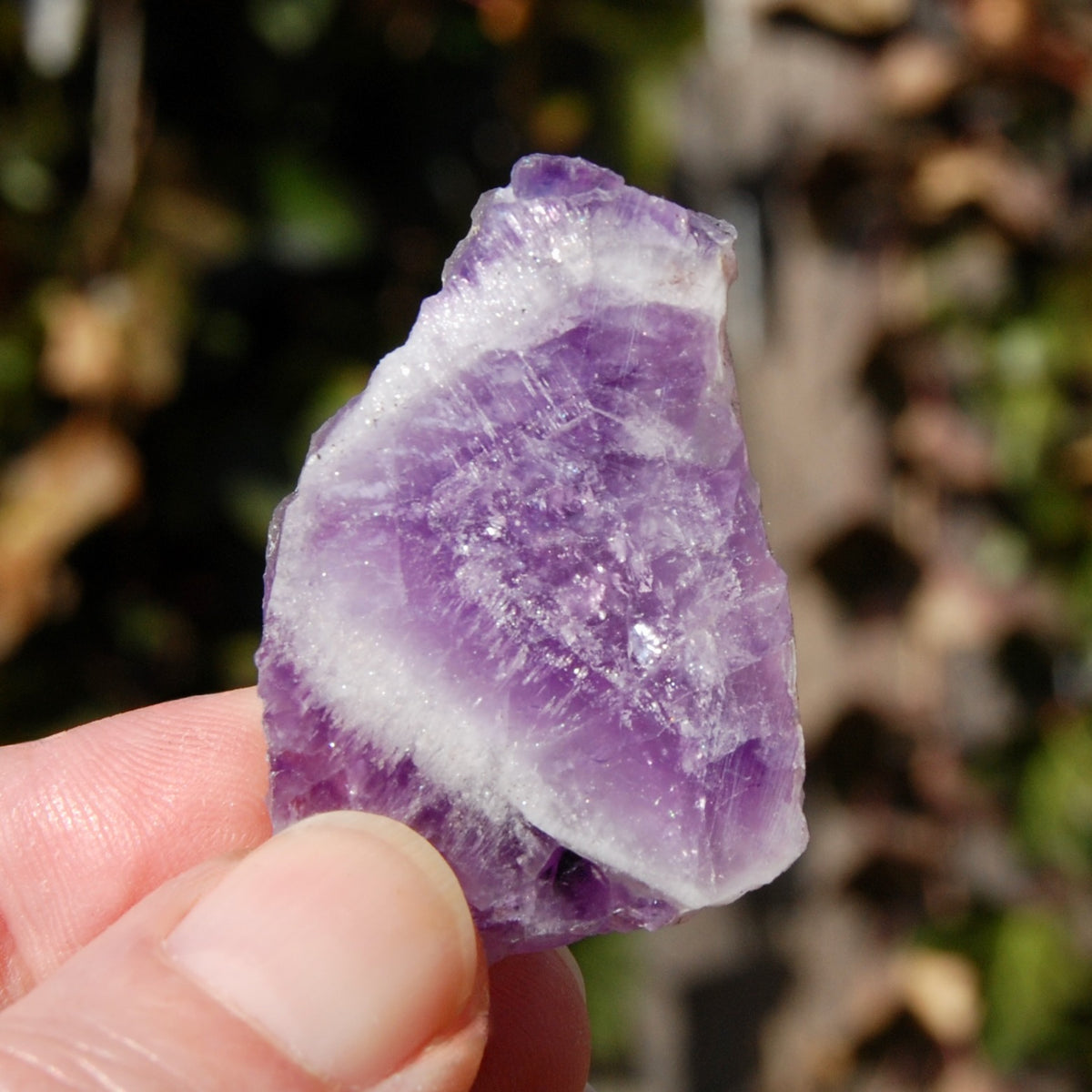Chevron Amethyst Trapiche Quartz Crystal Slice from Zambia