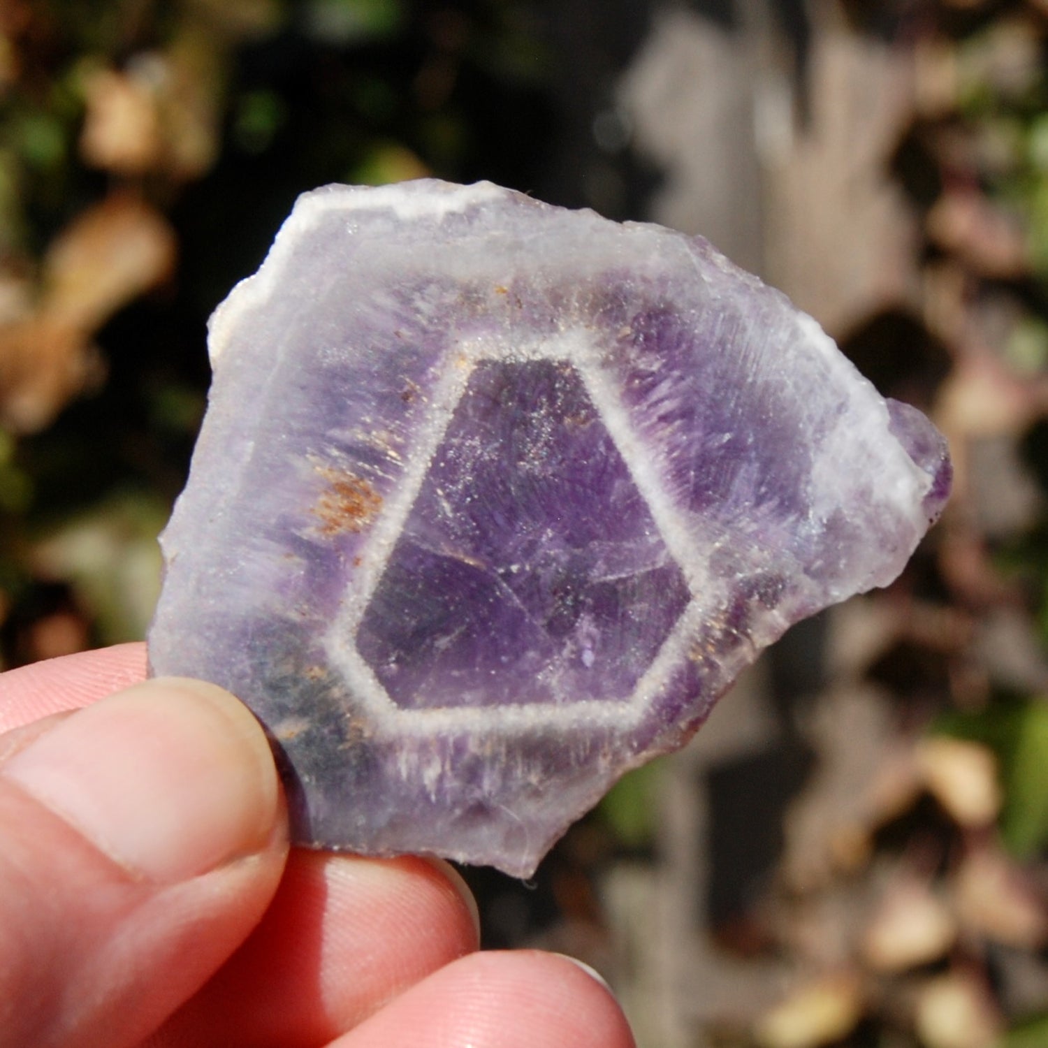 Chevron Amethyst Trapiche Quartz Crystal Slice from Zambia