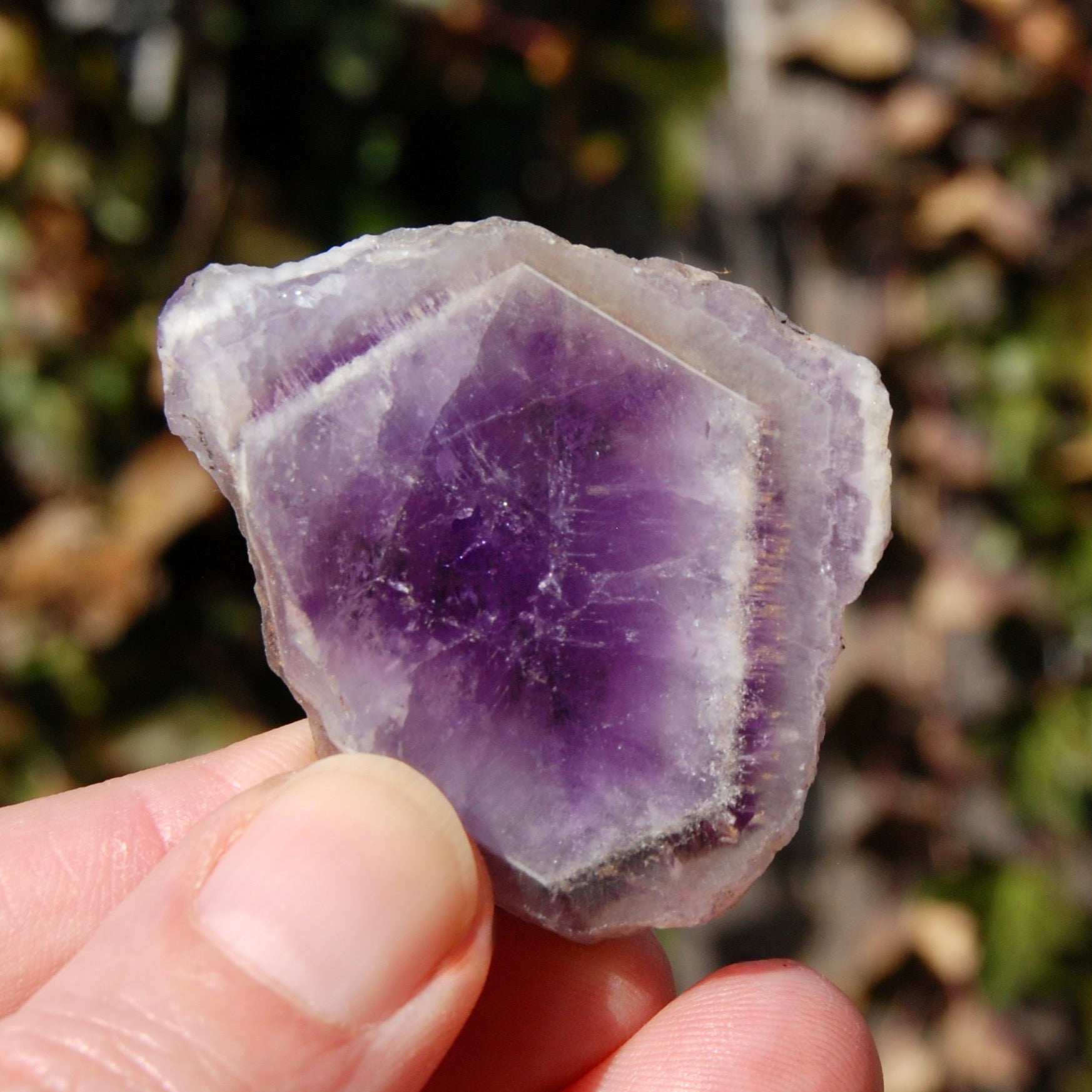 Chevron Amethyst Trapiche Quartz Crystal Slice from Zambia