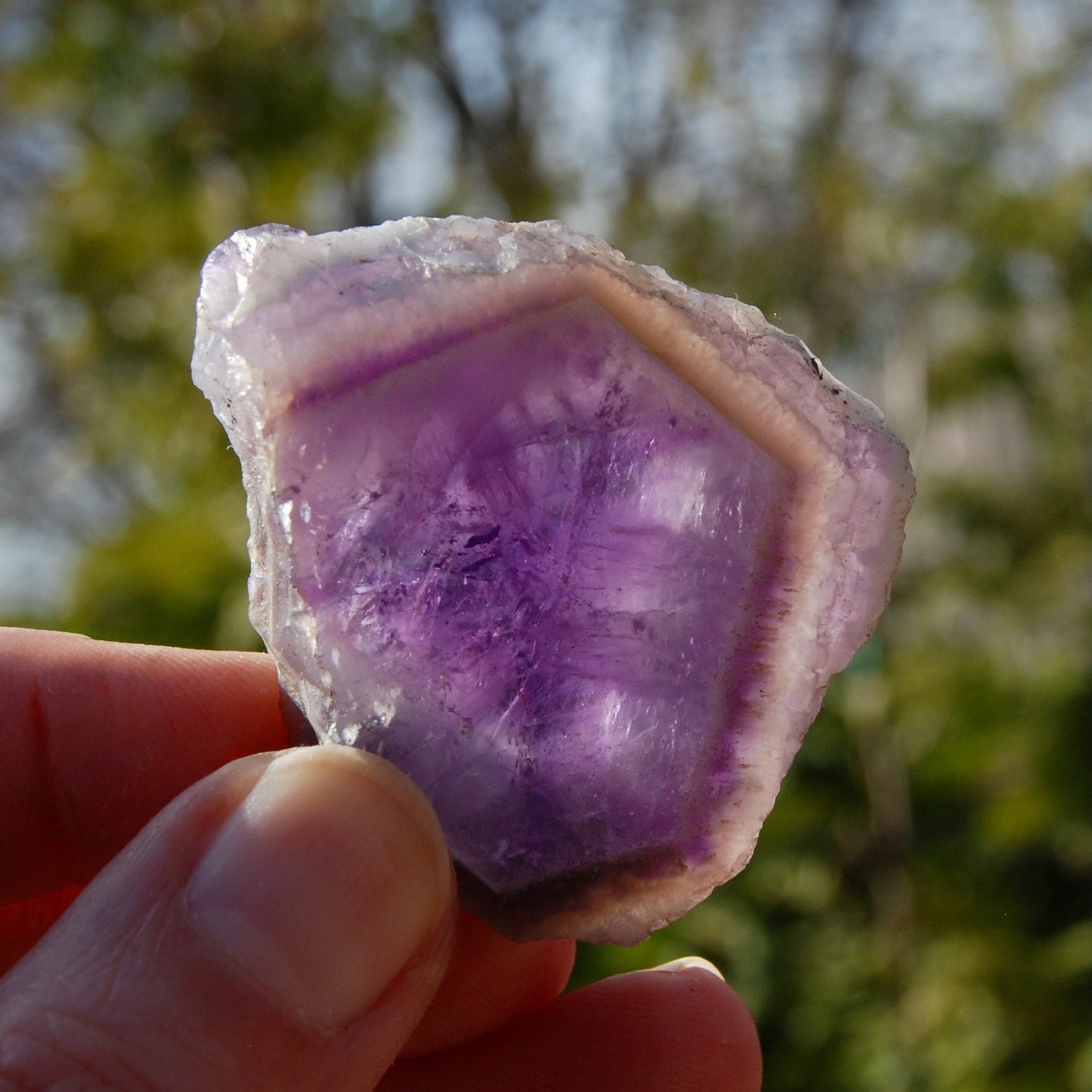 Chevron Amethyst Trapiche Quartz Crystal Slice from Zambia