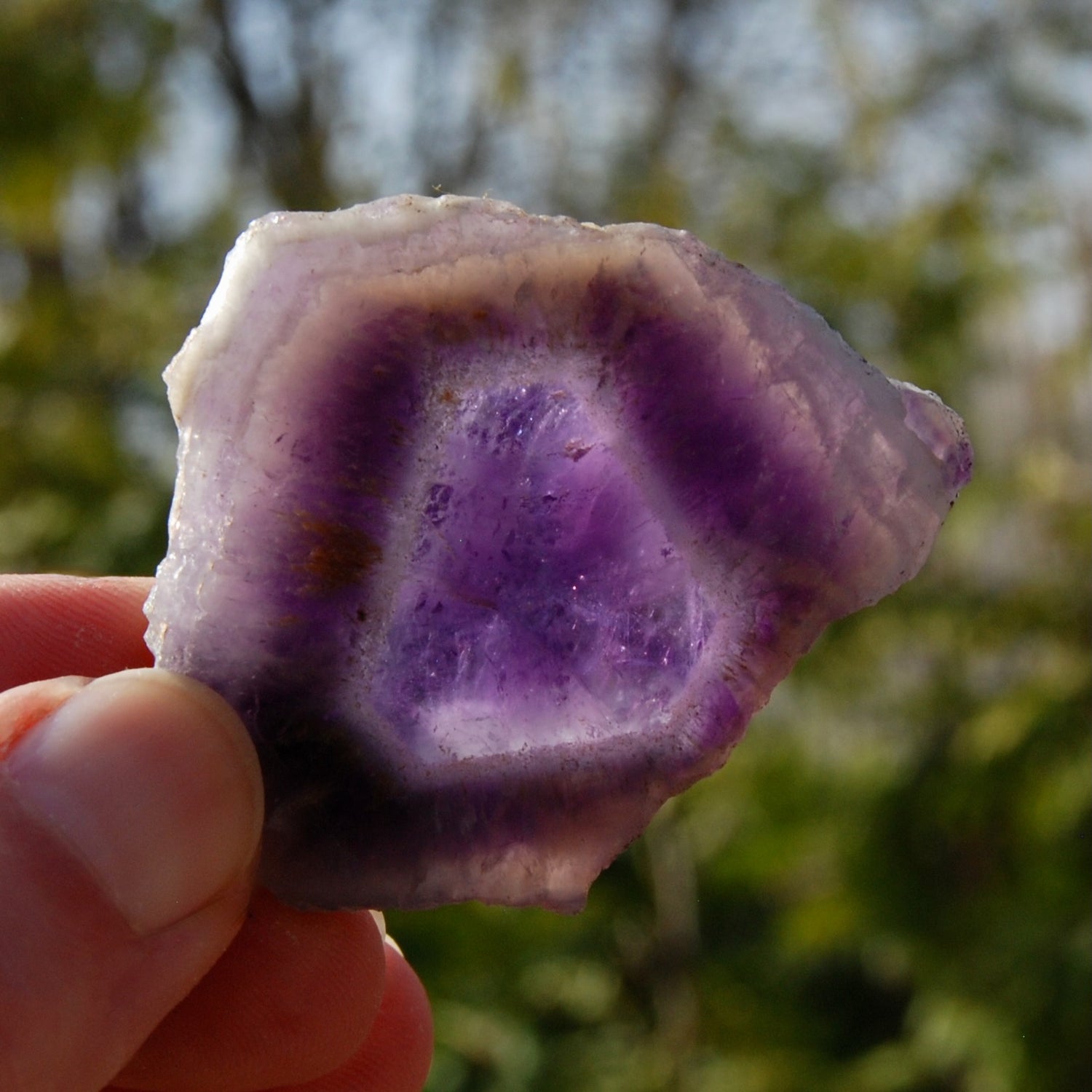 Chevron Amethyst Trapiche Quartz Crystal Slice from Zambia