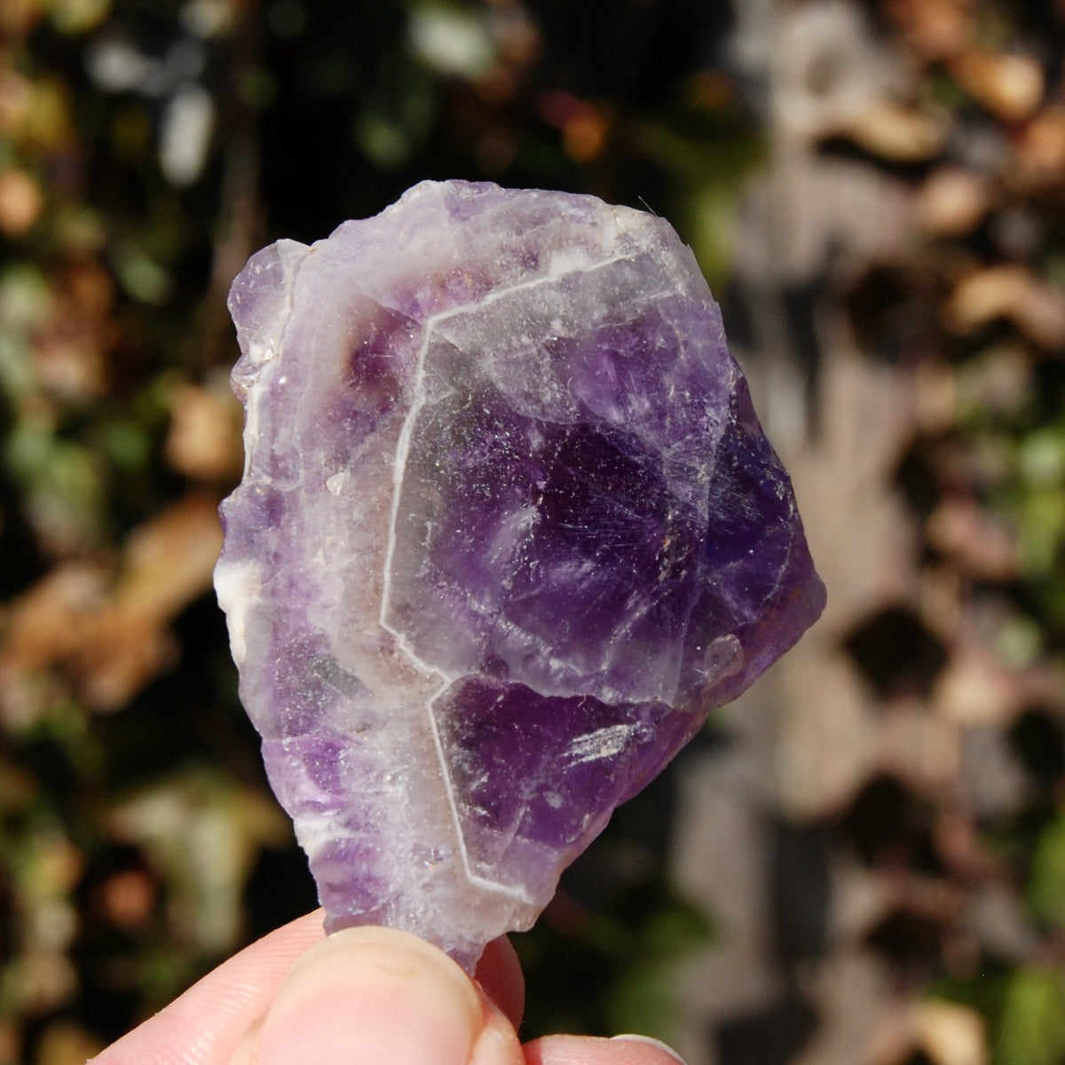 Chevron Amethyst Trapiche Quartz Crystal Slice from Zambia