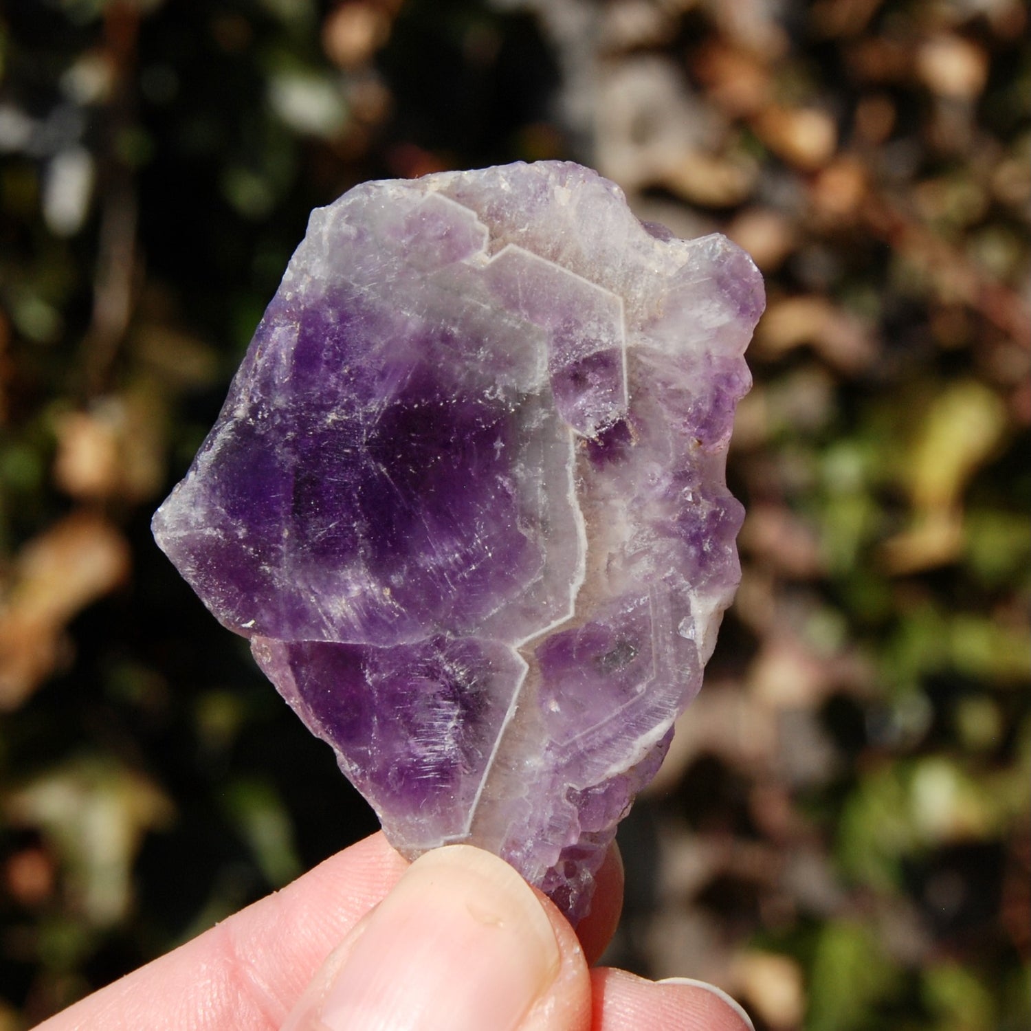 Chevron Amethyst Trapiche Quartz Crystal Slice from Zambia