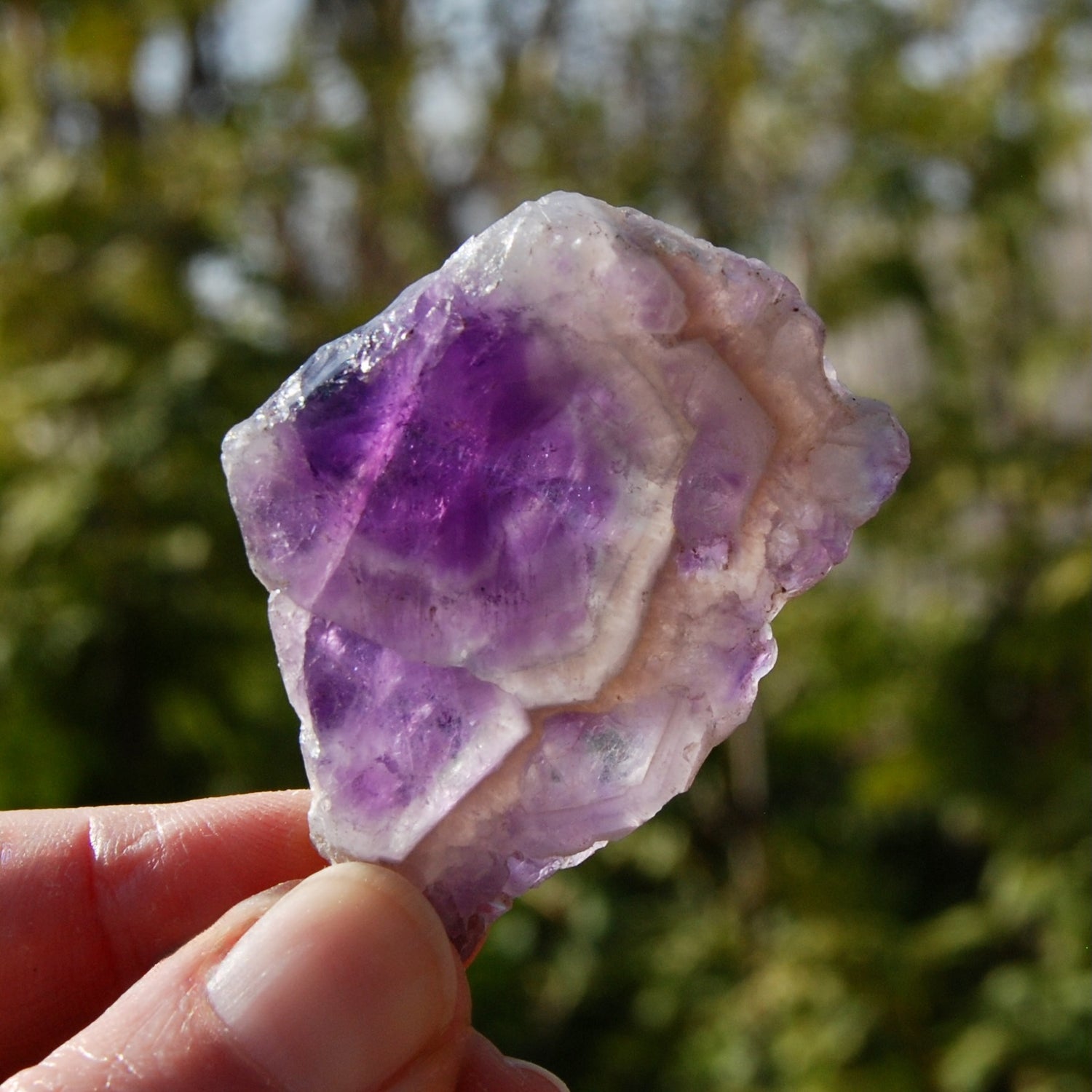 Chevron Amethyst Trapiche Quartz Crystal Slice from Zambia