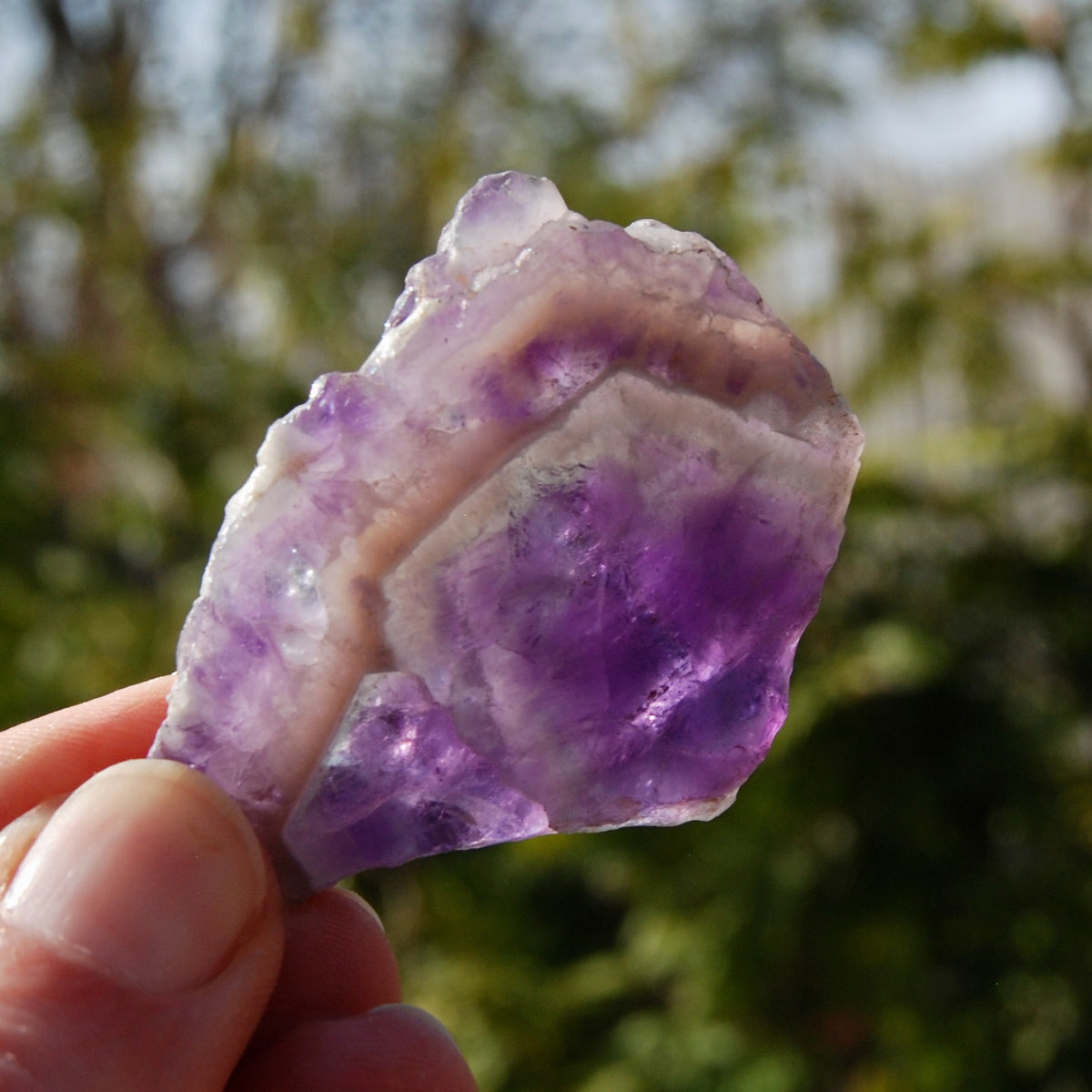 Chevron Amethyst Trapiche Quartz Crystal Slice from Zambia