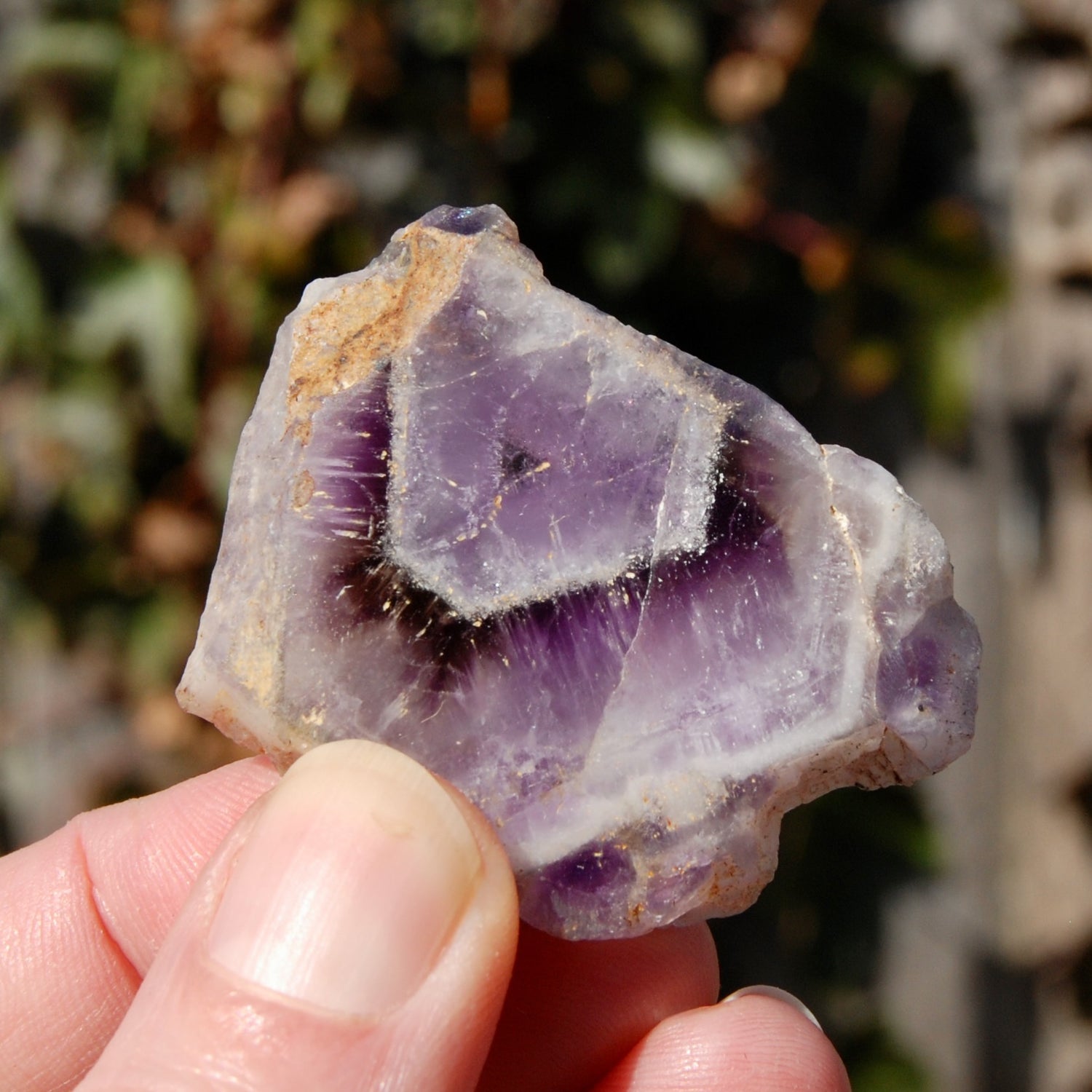 Chevron Amethyst Trapiche Quartz Crystal Slice from Zambia