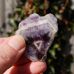 Chevron Amethyst Trapiche Quartz Crystal Slice from Zambia