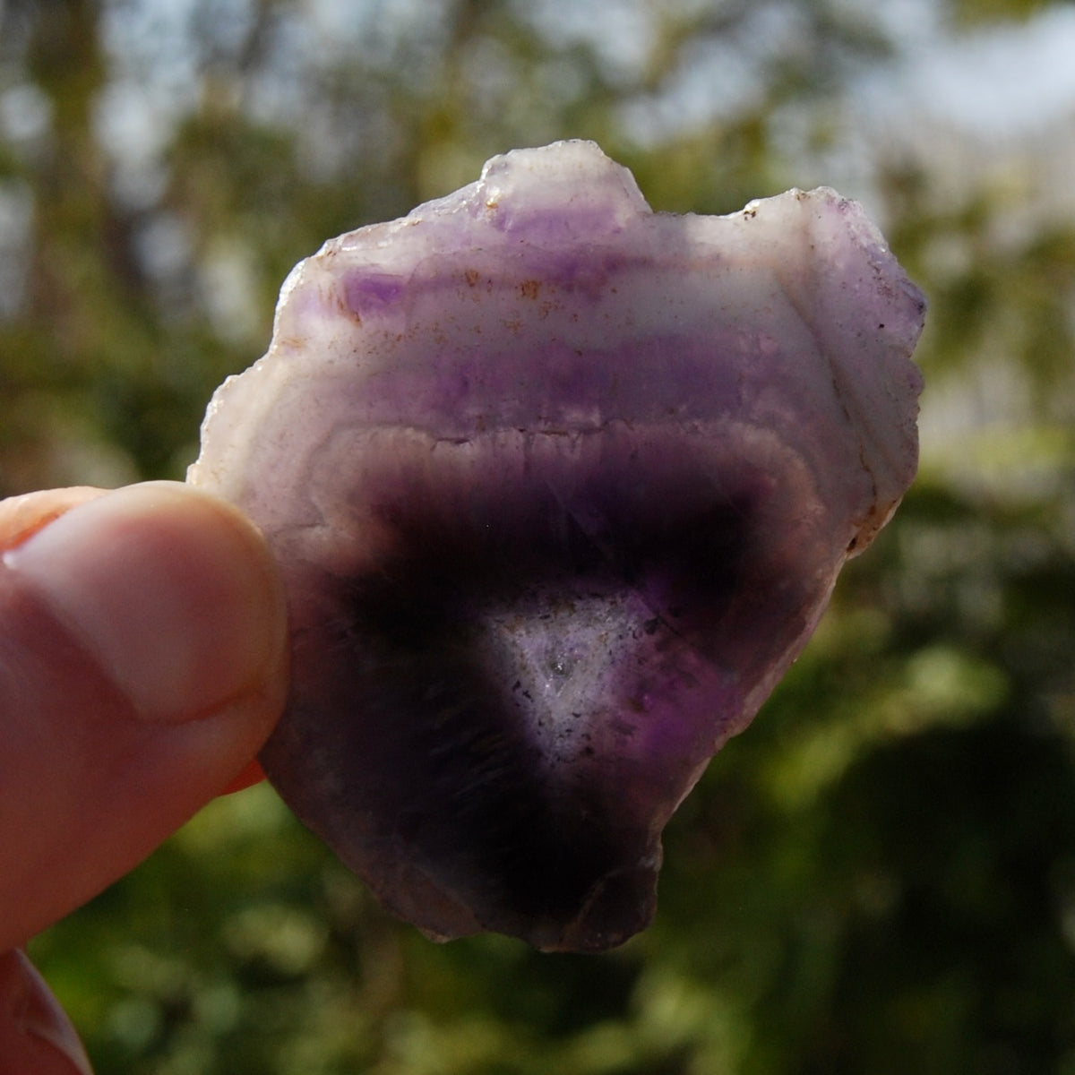 Chevron Amethyst Trapiche Quartz Crystal Slice from Zambia